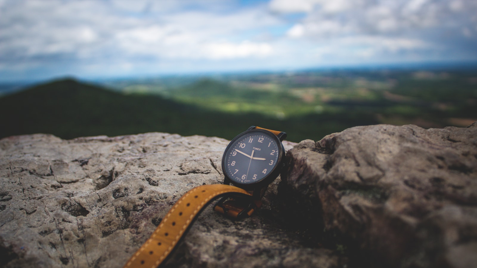 Vintage watch resting on a collector's tray